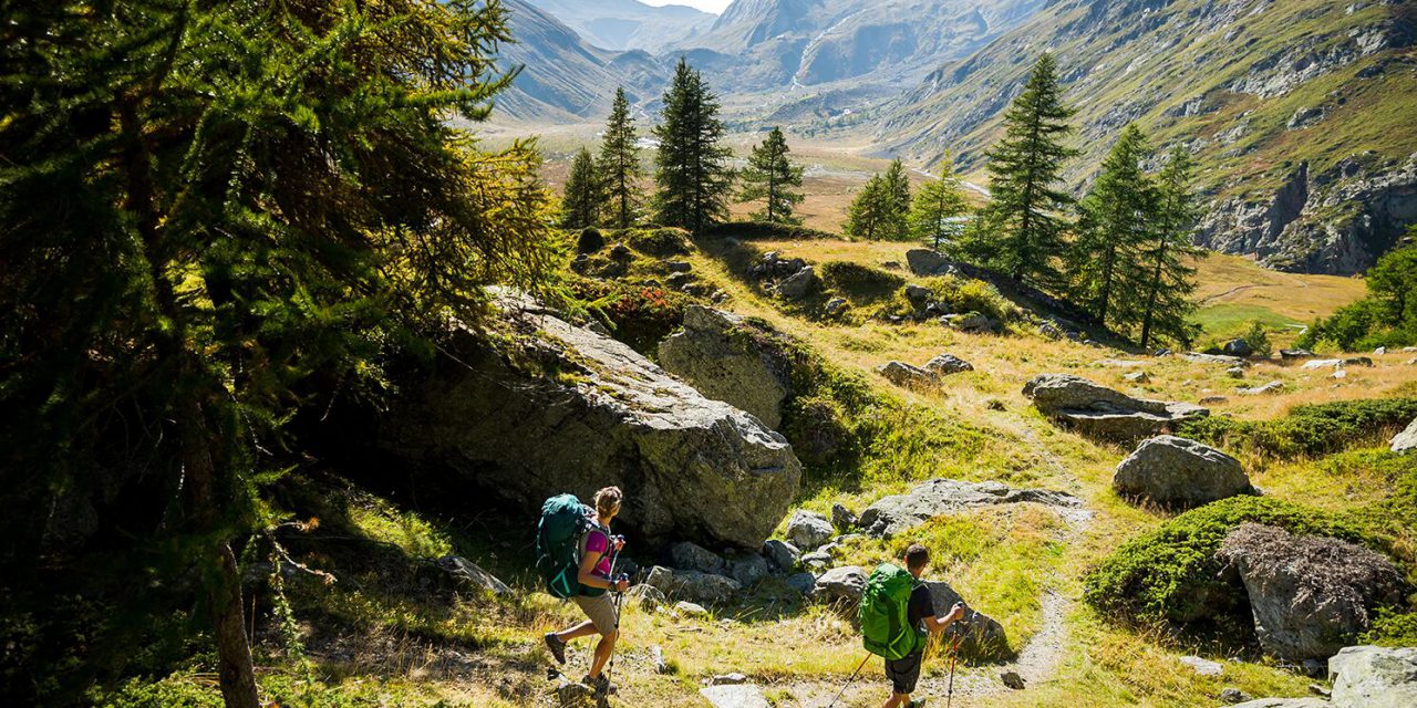 Trail du Gypaète – informations et conseils