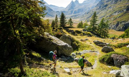 Trail du Gypaète – informations et conseils