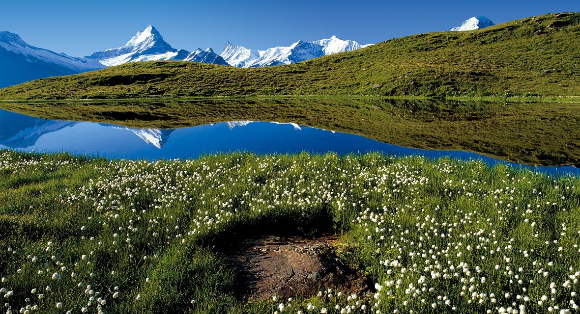 Trail Blanc du Semnoz  – informations et conseils