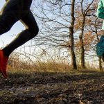 Trail des Sangliers – informations et conseils